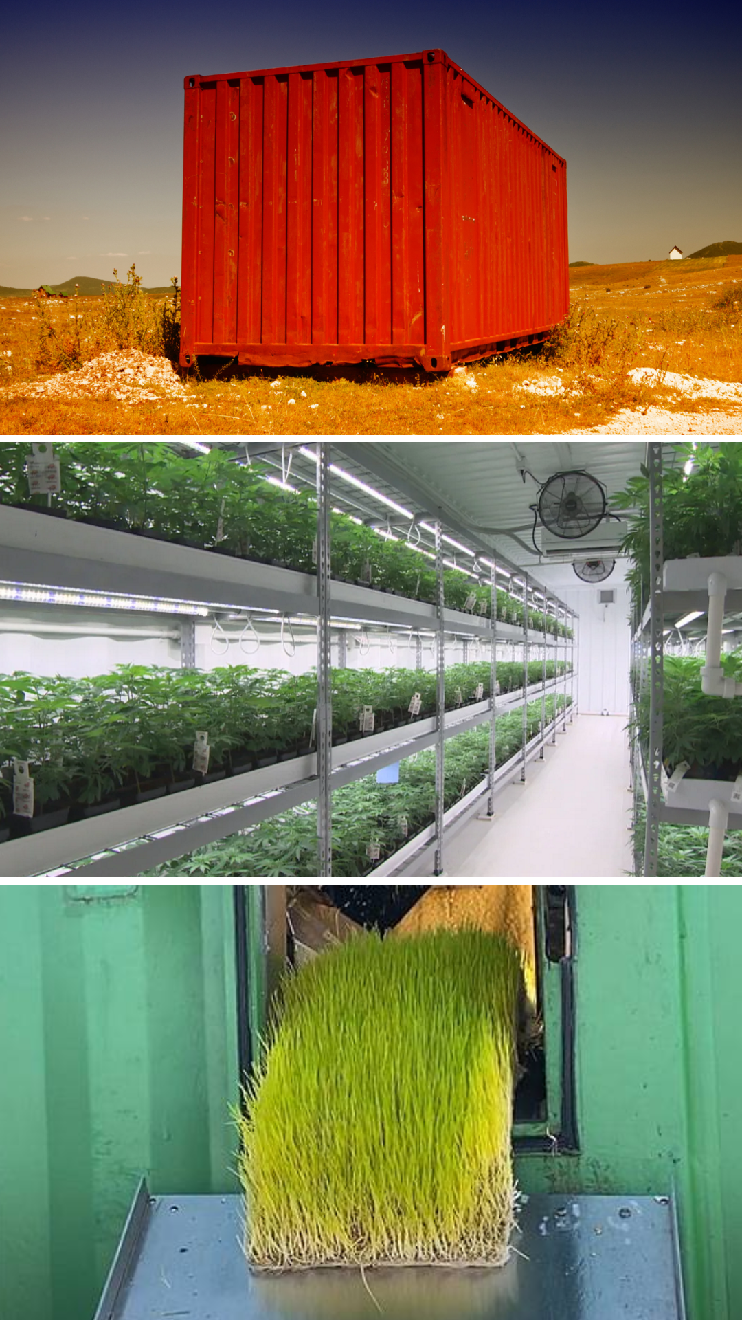 container-farms-page-side-pic